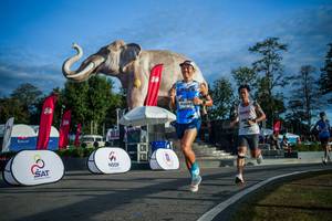 BIB: 
                            <button type="button" onclick="openModal(26541586)" class="btn btn-primary btn-sm float-right btn-popup" data-toggle="modal" data-target=".modal-high-quality">
                        <i class="fas fa-shopping-cart"></i> Add to Cart
                    </button>
                                            <button type="button" onclick="isThisMe(26541586, true)" class="btn btn-success btn-sm float-right btn-popup btn-isme hidden" data-toggle="tooltip" data-placement="bottom" title="นี่คือรูปของคุณใช่ไหม คลิกที่นี่เพื่อเอาเข้าอัลบั้ม">
                        <i class="fas fa-plus"></i> Add to album
                    </button>
                    <button type="button" onclick="isThisMe(26541586, false)" class="btn btn-warning btn-sm float-right btn-popup btn-isnotme hidden">
                        <i class="fas fa-ban"></i> Remove from album
                    </button>